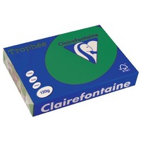 Clairefontaine Papier universel Trophée A4, vert sapin