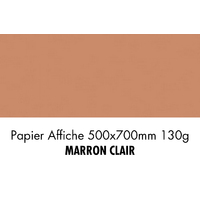 folia Papier de couleur, (L)500 x (H)700 mm, marron clair