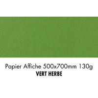 folia Papier de couleur, (L)500 x (H)700 mm, vert herbe