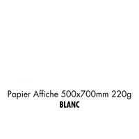 folia Carton de couleur, (L)500 x (H)700 mm, blanc