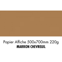 folia Carton de couleur, (L)500 x (H)700 mm, brun chevreuil