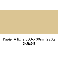 folia Carton de couleur, (L)500 x (H)700 mm, chamois