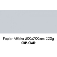 folia Carton de couleur, (L)500 x (H)700 mm, gris clair