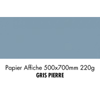 folia Carton de couleur, (L)500 x (H)700 mm, gris pierre