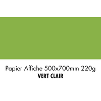 folia Carton de couleur, (L)500 x (H)700 mm, vert clair