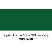 folia Carton de couleur, (L)500 x (H)700 mm, vert sapin