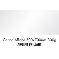 folia Carton de bricolage, (L)500 x (H)700 mm, argent brill.