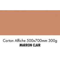 folia Carton de bricolage, (L)500 x (H)700 mm, marron clair