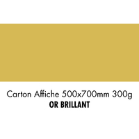 folia Carton de bricolage, (L)500 x (H)700 mm, or brillant