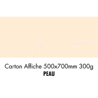 folia Carton de bricolage, (L)500 x (H)700 mm, peau