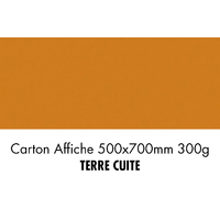 folia Carton de bricolage, (L)500 x (H)700 mm, terre cuite