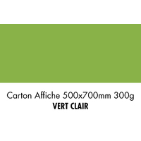 folia Carton de bricolage, (L)500 x (H)700 mm, vert clair