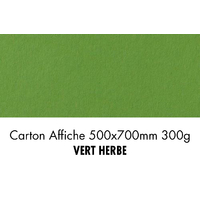 folia Carton de bricolage, (L)500 x (H)700 mm, vert herbe