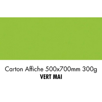 folia Carton de bricolage, (L)500 x (H)700 mm, vert mai