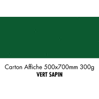 folia Carton de bricolage, (L)500 x (H)700 mm, vert sapin