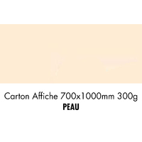 folia Carton de bricolage, (L)1.000 x (H)700 mm, beige clair