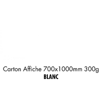 folia Carton de bricolage, (L)1.000 x (H)700 mm, blanc