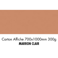 folia Carton de bricolage, (L)1.000 x (H)700 mm, brun clair