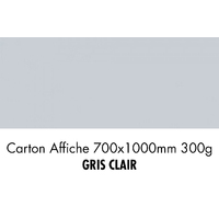 folia Carton de bricolage, (L)1.000 x (H)700 mm, gris clair