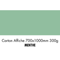 folia Carton de bricolage, (L)1.000 x (H)700 mm, menthe