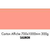 folia Carton de bricolage, (L)1.000 x (H)700 mm, saumon