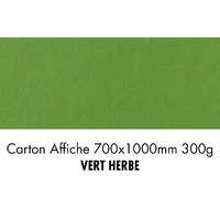 folia Carton de bricolage, (L)1.000 x (H)700 mm, vert tendre