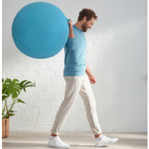 LEITZ Ballon d'assise Ergo Cosy, diamètre: 650 mm, bleu