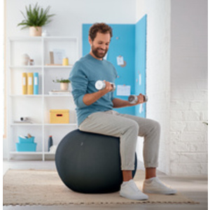 LEITZ Ballon d'assise Ergo Cosy, diamètre: 650 mm, gris