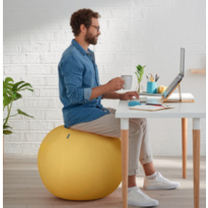 LEITZ Ballon d'assise Ergo Cosy, diamètre: 650 mm, jaune