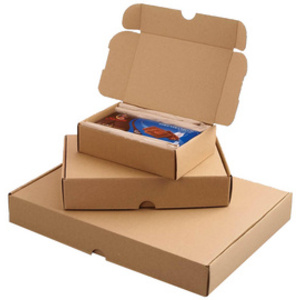 Smartboxpro Carton d'expédition maxi, (L)240x (P)160x (H)50