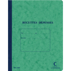 ELVE Piqûre 'Recettes/Dépenses', 80 pages, 297 x 210 mm