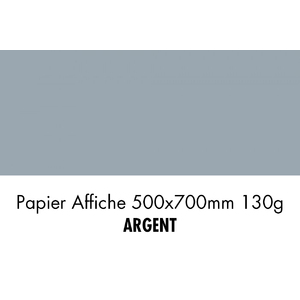 folia Papier de couleur, (L)500 x (H)700 mm, argent