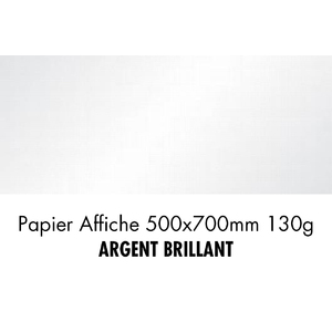 folia Papier de couleur, (L)500 x (H)700 mm, argent brillant