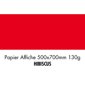 folia Papier de couleur, (L)500 x (H)700 mm, hibiscus