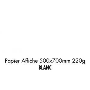 folia Carton de couleur, (L)500 x (H)700 mm, blanc