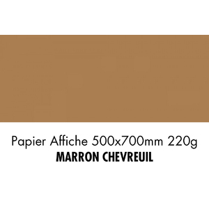 folia Carton de couleur, (L)500 x (H)700 mm, brun chevreuil