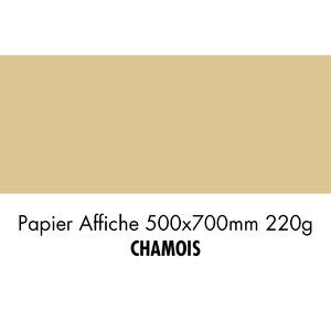 folia Carton de couleur, (L)500 x (H)700 mm, chamois