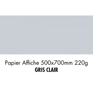 folia Carton de couleur, (L)500 x (H)700 mm, gris clair