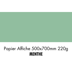 folia Carton de couleur, (L)500 x (H)700 mm, menthe