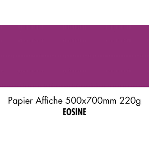 folia Carton de couleur, (L)500 x (H)700 mm, éosine