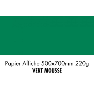 folia Carton de couleur, (L)500 x (H)700 mm, vert mousse