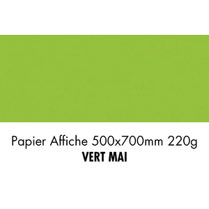 folia Carton de couleur, (L)500 x (H)700 mm, vert printemps