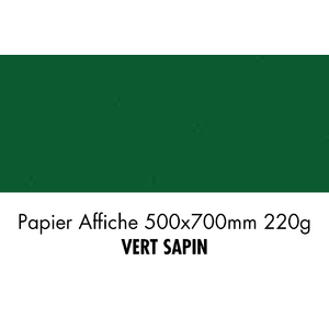 folia Carton de couleur, (L)500 x (H)700 mm, vert sapin