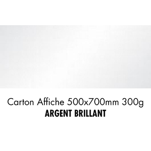 folia Carton de bricolage, (L)500 x (H)700 mm, argent brill.