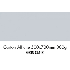 folia Carton de bricolage, (L)500 x (H)700 mm, gris clair