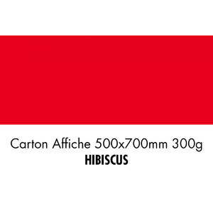 folia Carton de bricolage, (L)500 x (H)700 mm, hibiscus