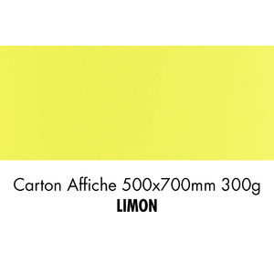 CARTON 500X700 300G LIMON     P/10F