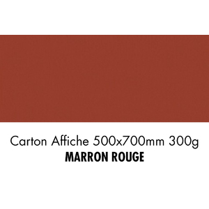 CARTON 500X700 300G MARRON ROUGE  P/10F