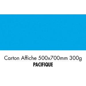 CARTON 500X700 300G PACIFIQUE P/10F