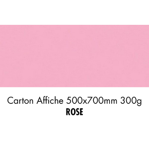 CARTON 500X700 300G ROSE      P/10F